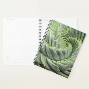 A Green & White Succulent Planner