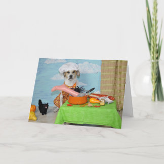 A greeting card /Thanksgiving? humourous dog photo