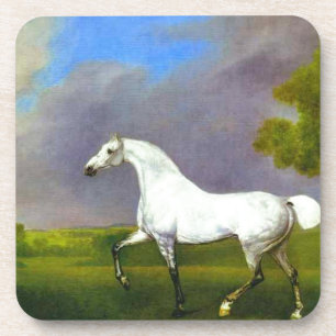 A Grey Horse by George Stubbs Coaster