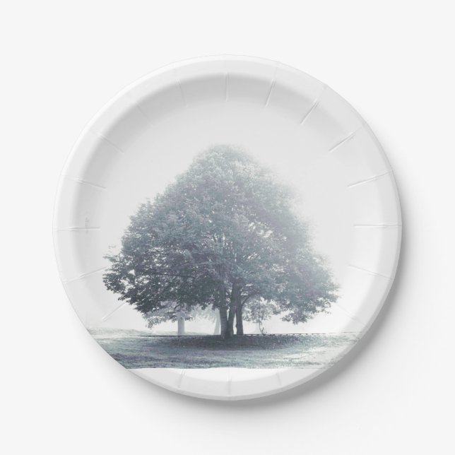A Grey Lime Tree in Foggy Weather Dinner Plate (Front)