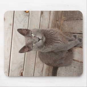 A Grey Noble Cat Mouse Mat