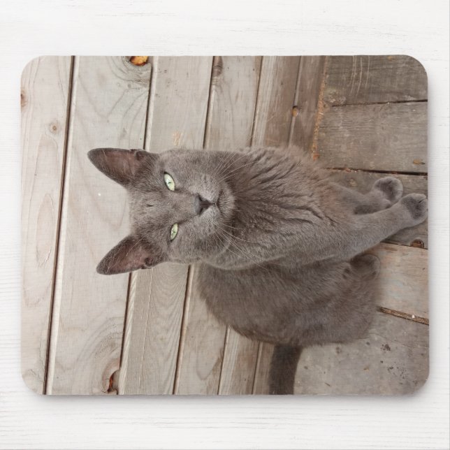 A Grey Noble Cat Mouse Mat (Front)