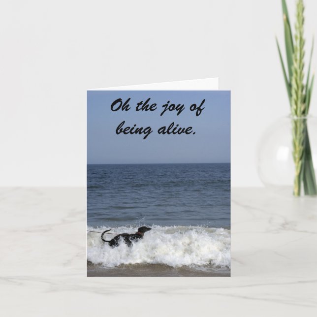 A greyhound enjoying the surf . card (Front)