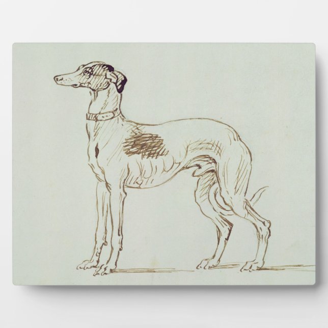 A Greyhound, Facing Left (pen & ink on paper) Plaque (Front)