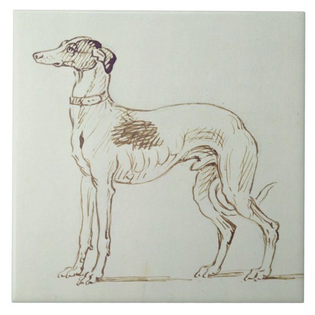 A Greyhound, Facing Left (pen & ink on paper) Tile (Front)