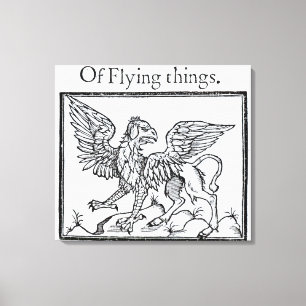 A Griffin Canvas Print