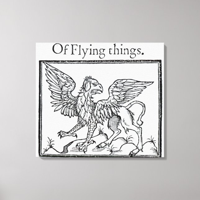 A Griffin Canvas Print (Front)