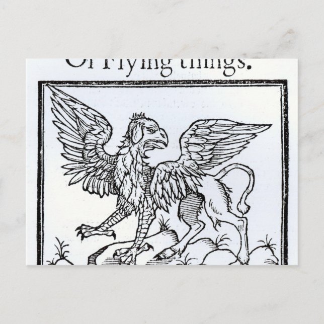 A Griffin Postcard (Front)