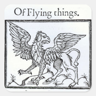 A Griffin Square Sticker