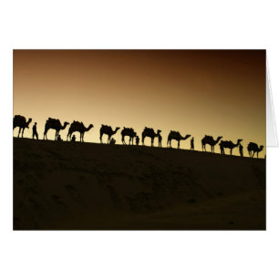 A group of camel herders with their camels