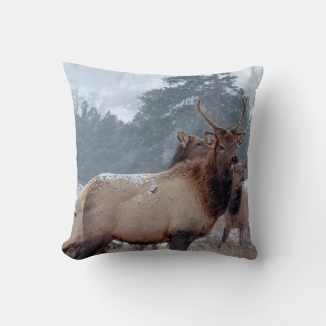 A GROUP OF DEERS CUSHION (Front)