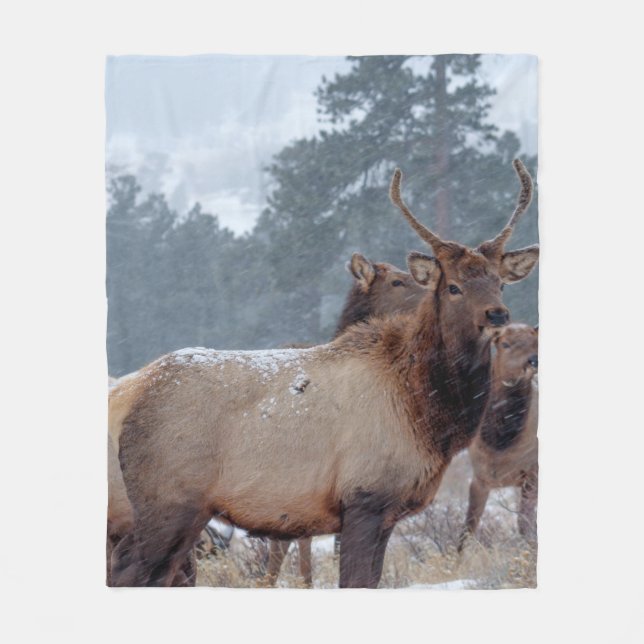 A GROUP OF DEERS FLEECE BLANKET (Front)