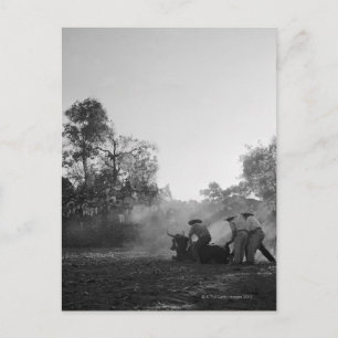 A group of Mexican charros bullfighters twist Postcard