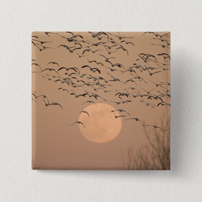 A group of migratory snow geese, Grus 15 Cm Square Badge (Front)