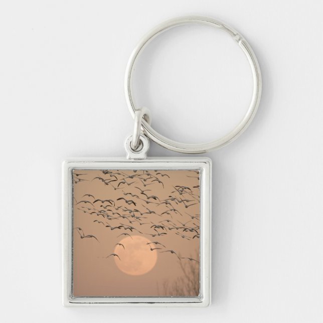 A group of migratory snow geese, Grus Key Ring (Front)