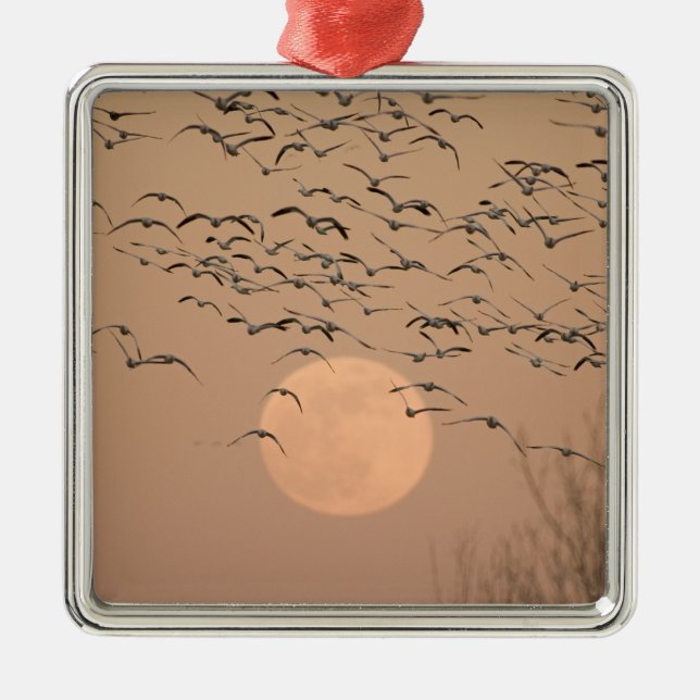 A group of migratory snow geese, Grus Metal Tree Decoration (Front)