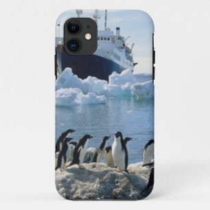 A Group Of Penguins Standing On An Icy Beach iPhone 11 Case