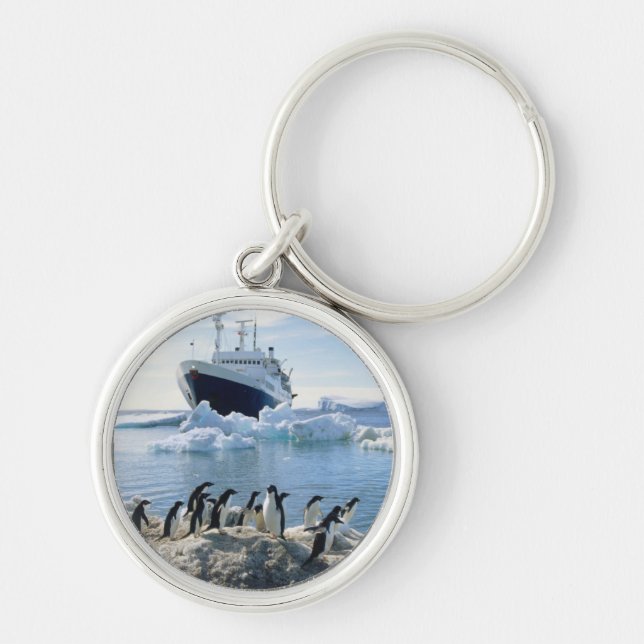 A Group Of Penguins Standing On An Icy Beach Key Ring (Front)