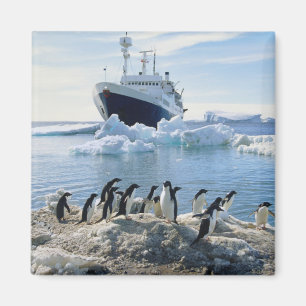 A Group Of Penguins Standing On An Icy Beach Magnet