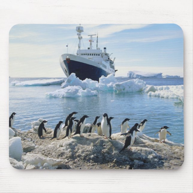 A Group Of Penguins Standing On An Icy Beach Mouse Mat (Front)
