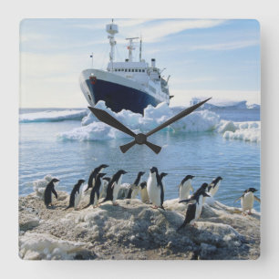 A Group Of Penguins Standing On An Icy Beach Square Wall Clock