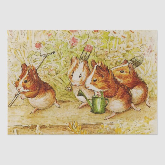 A Guinea Pig Garden of Our Own by Beatrix Potter Tissue Paper (Front)