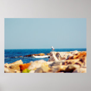 A Gull's Post Poster