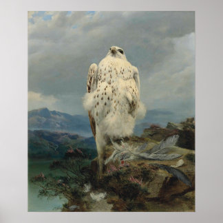 A Gyrfalcon in an Extensive Mountainous Landscape Poster