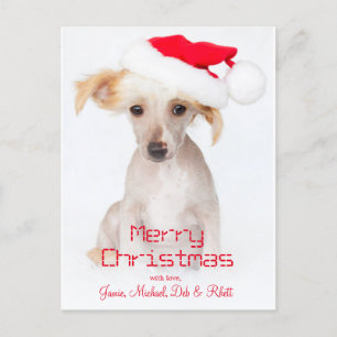 A hairless chinese crested dog holiday postcard