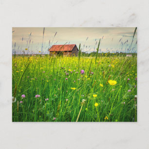 A Halcyon Barn Cuddled in a Wildflower Meadow Postcard
