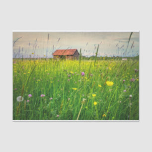 A Halcyon Barn Cuddled in a Wildflower Meadow Tissue Paper