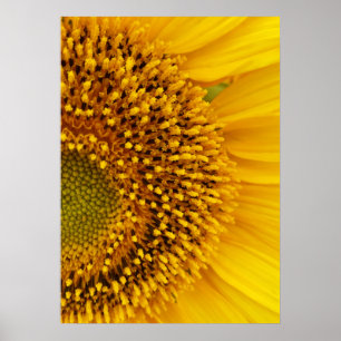 a half-circle poster