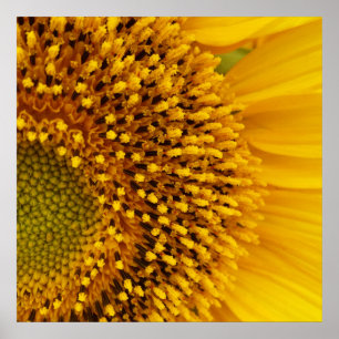 a half-circle poster