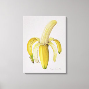 A Half-peeled Banana 1997 Canvas Print