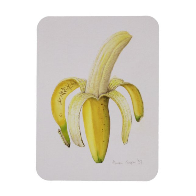 A Half-peeled Banana 1997 Magnet (Vertical)