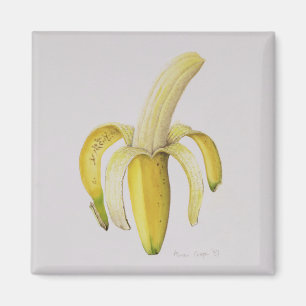 A Half-peeled Banana 1997 Magnet