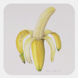 A Half-peeled Banana 1997 Square Sticker