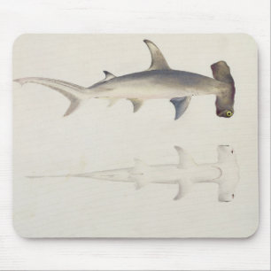 A Hammer-headed Shark, Loheia, formerly attributed Mouse Mat