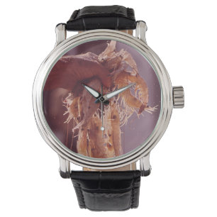 A Handful of Shrimp Watch