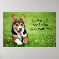 A Happy And Energetic Pembroke Welsh Corgi Puppy