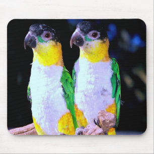 A Happy Couple Mouse Mat