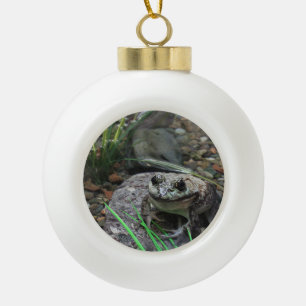 A Happy Frog Ceramic Ball Christmas Ornament
