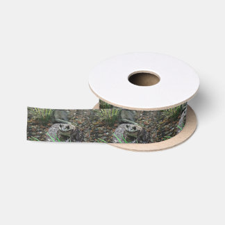 A Happy Frog Satin Ribbon