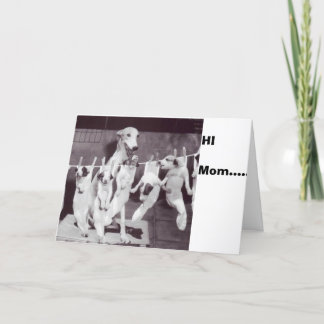 A Happy Greyhound with her Puppies '55 by Nat Fein Card