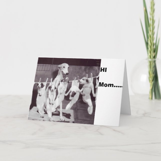 A Happy Greyhound with her Puppies '55 by Nat Fein Card (Front)