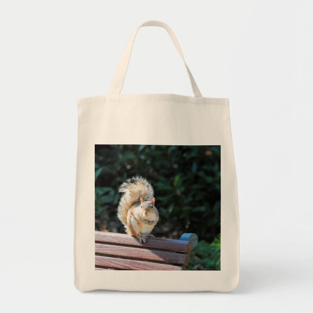 A Happy Squirrel in DC Tote Bag (Front)