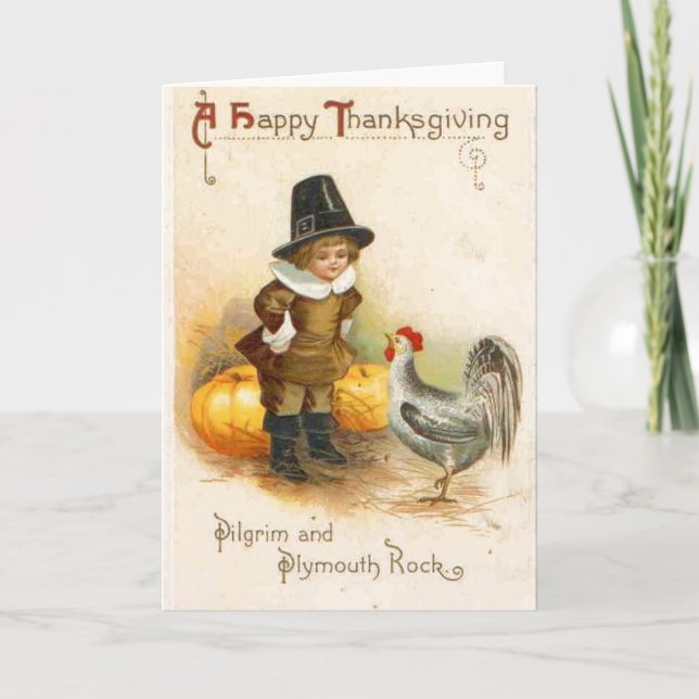 A Happy Thanksgiving Pilgrim and Plymouth Rock Holiday Card (Front)