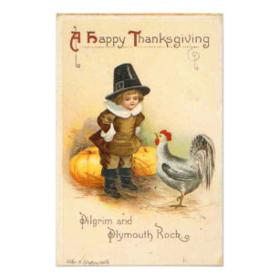 A Happy Thanksgiving Pilgrim and Plymouth Rock Photo Print