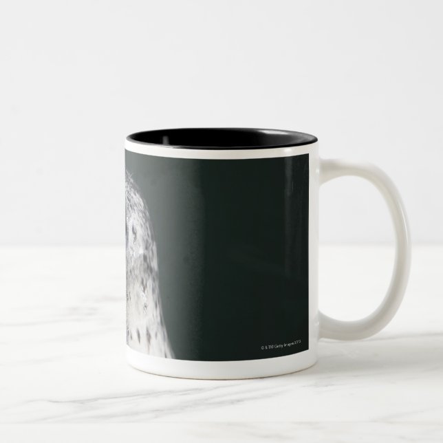 A harbour seal Two-Tone coffee mug (Right)
