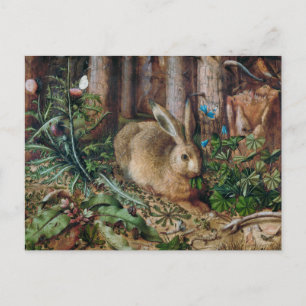 A Hare in the Forest Postcard